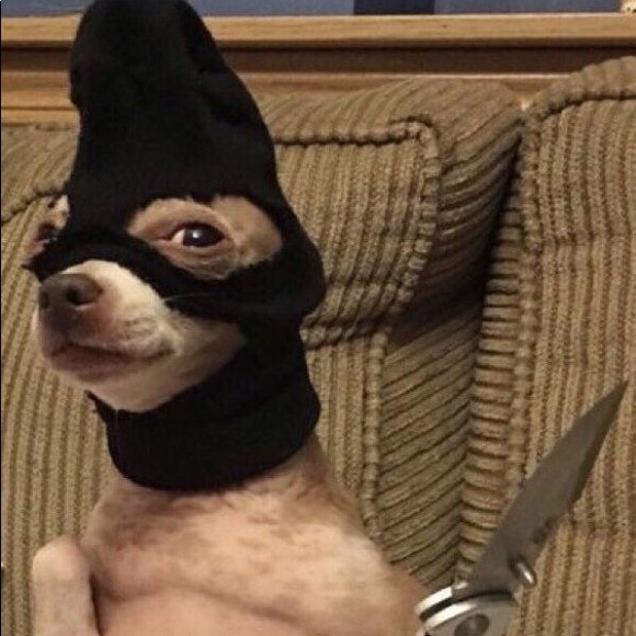 Meet your Posher, Ahna - Picture 1 of 1